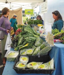 062713-FM_Greens