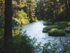 081513-StillFishin