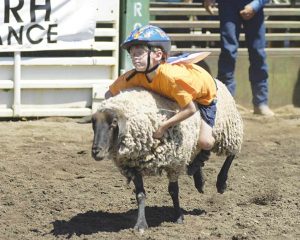 082213-Rodeo5