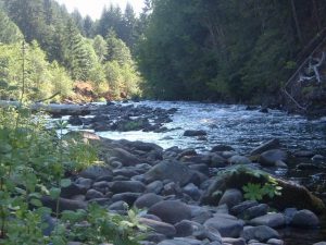 082213-StillFishin