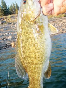 091213-StillFishin