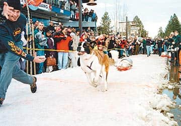 022714-Snowfest_DogPull_cr.Snowfest!