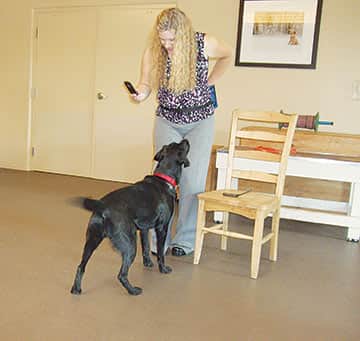 041014-Canine_Class