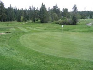 050814-Golf-TC