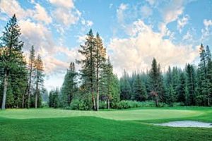 050814-Golf-Tahoe-Donner