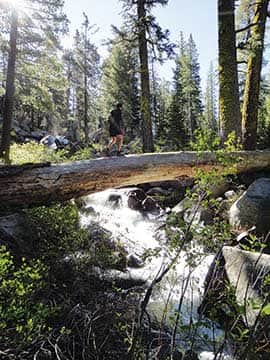 061914-MtnFest_DesolationSummer2