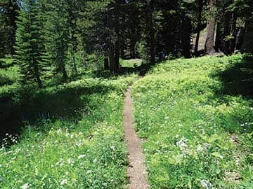 061914-MtnFest_SummerPCT2
