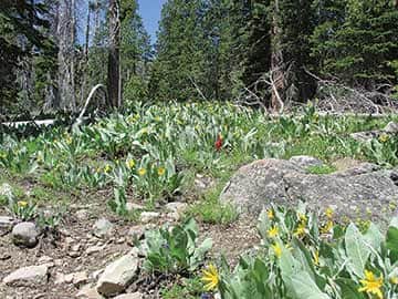 062614-TahoeTime5