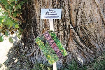 091114-Detours_BotanicalMarker-1