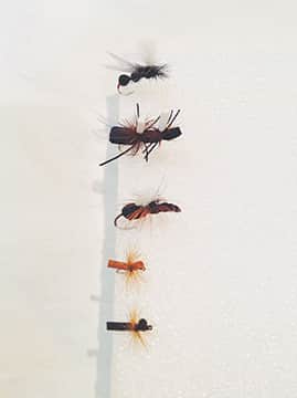 091114-GoneFishin_AntSelection