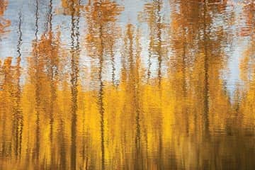 092514-Fall_AspenReflections_Thompson