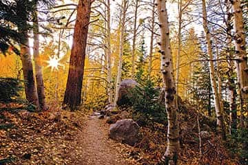 092514-Fall_Starburst_McGilvray