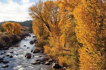 092514-Fall_TruckeeRiverinAutumn_Thompson