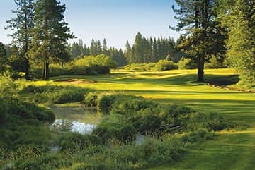 092514-TeeTime_PlumasPines