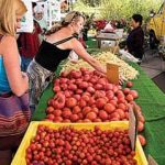 040915-Spring_FarmersMarket_c.TCDA