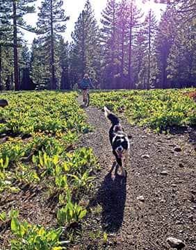 060415-TahoeTime_1
