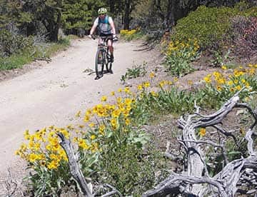 061115-TahoeTime_biker