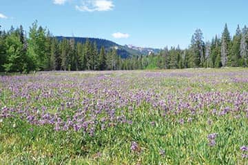 062515-TahoeTime_Big_P1040280