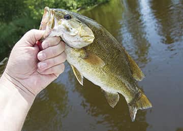 070215-GoneFishin