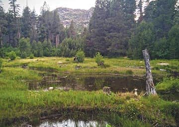072315-TahoeTime_BeaverCreek