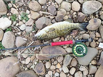 081315-GoneFishin_Smallmouth