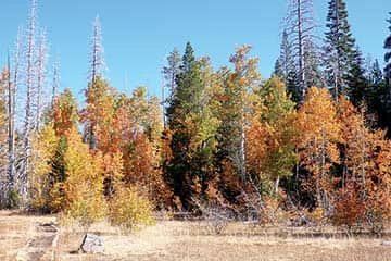 082715-TahoeTime_fall_TH