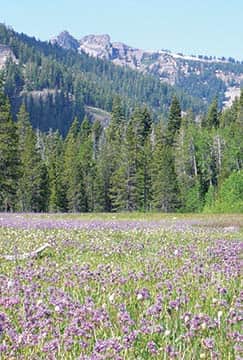 082715-TahoeTime_summer_TH
