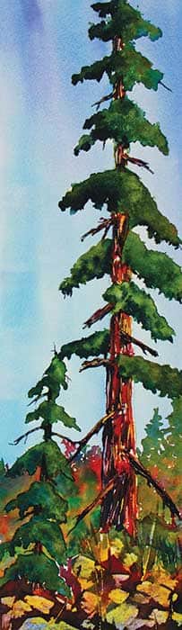 090315-ARTour_EvaNichols_2-SierraSeasonsSummer