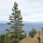 090315-TahoeTime_3-EagleRock_Kat
