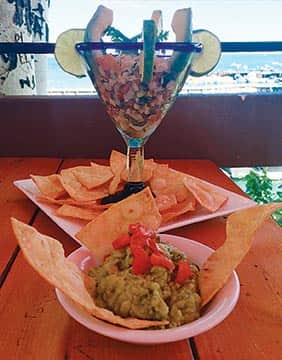 090315-Tastes_CevicheandGuacomole