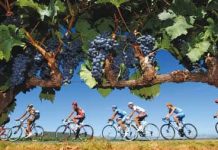 A tour of French wines, Part II