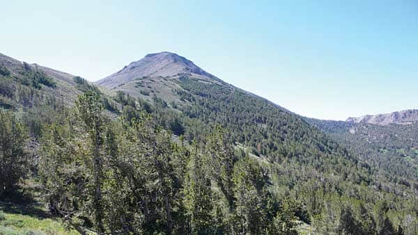 092415-RimToReno_Mt.RosefromabouthalfwaythroughRimtoRenoTrail