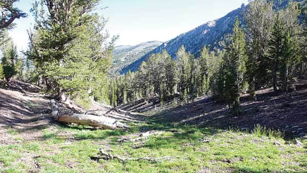 092415-RimToReno_mt.roseheadingdowntowardsBroncoCreek