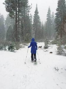 120315-Snowshoe_Wendy-Wright-in-the-snow