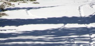 Fresh Snow