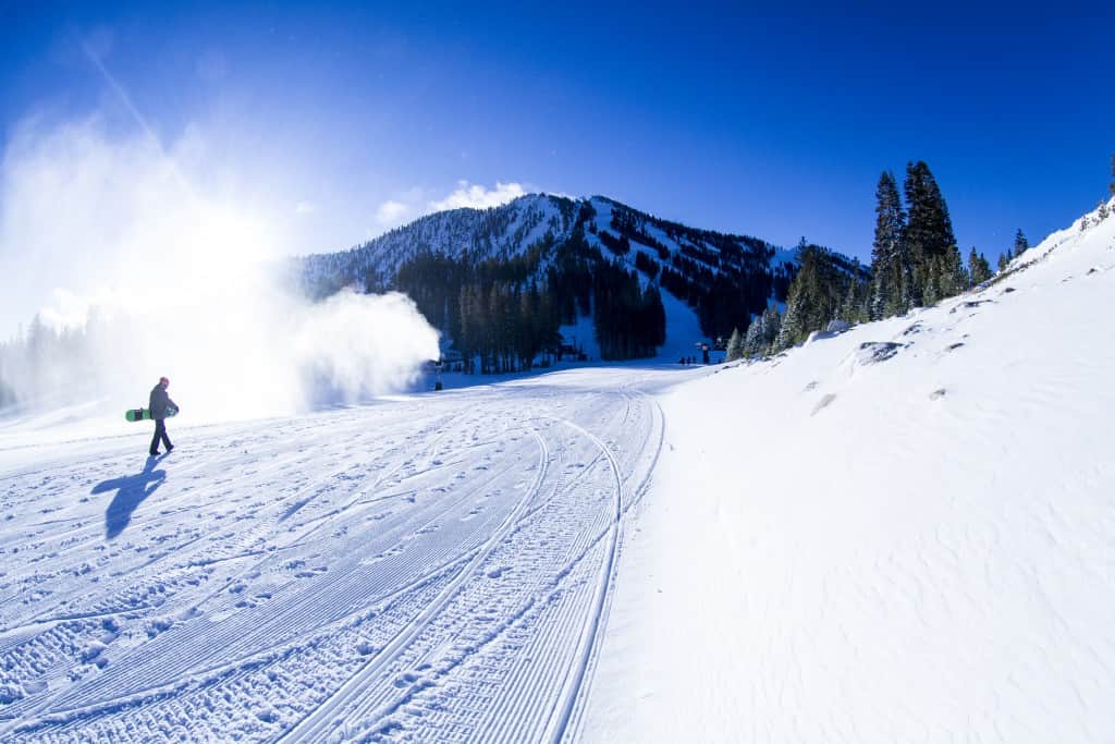 Mt Rose