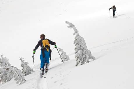 011416-SugarBowl_barta_g_3810