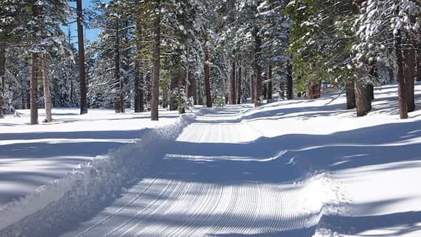 031016-SugarPinePoint_groomedtrails