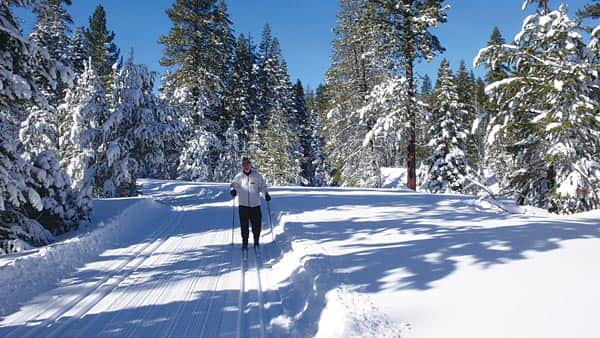 031016-SugarPinePoint_skier