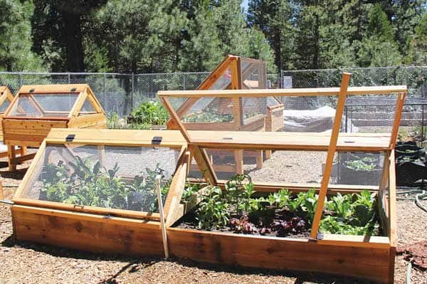 070716-Food_Demo-Garden-beds