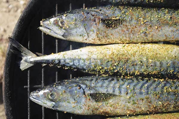 081116-Recipe_trout
