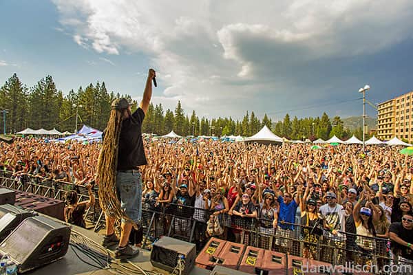 081816-MUSIC_Reggae2_DanWallisch
