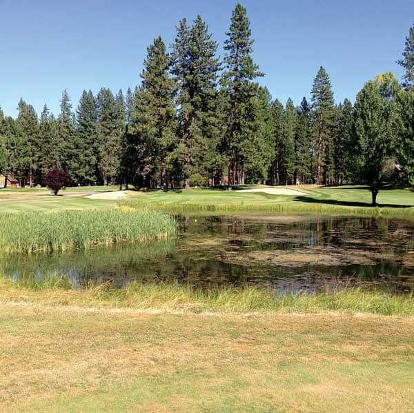 082516-Golf_Plumas_c.JohnDee_0489