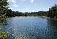 Fishing at Milton Reservoir