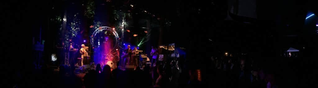 Pano of Hamsa Lila