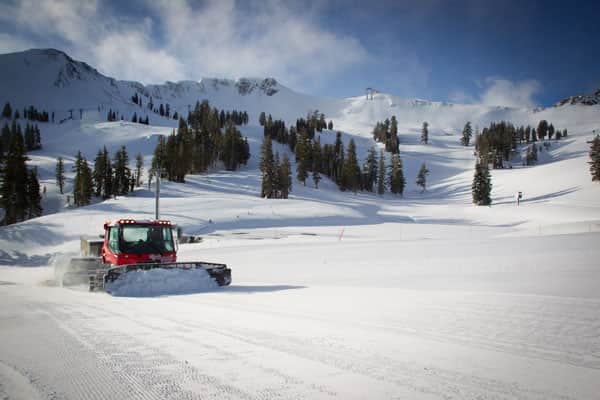 SquawValleyGroomers_Jeff-Engerbretson