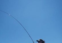 Fly-fishing in Baja