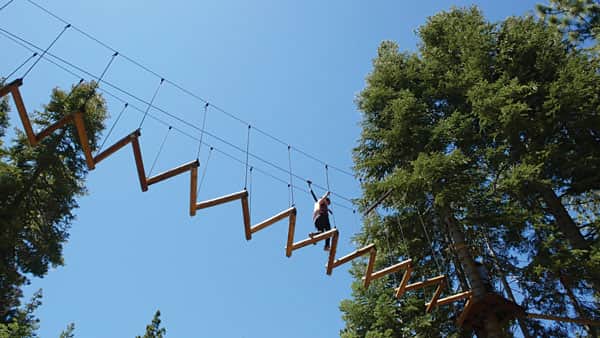 090816-TreeTop1_c.TimH