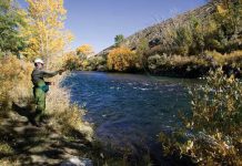 Fall fishing outlook