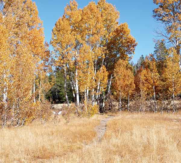 092216-fallhikes_fall-in-page-meadows_c-timh
